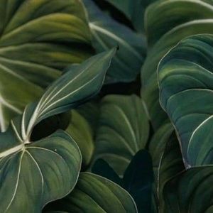 Meet your Posher, Michele